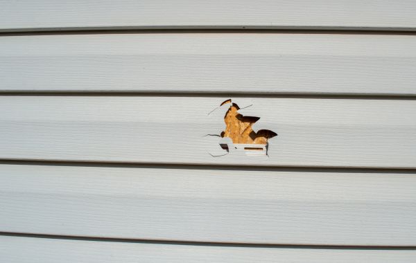 Cost of Siding Hole Patching in Tallahassee