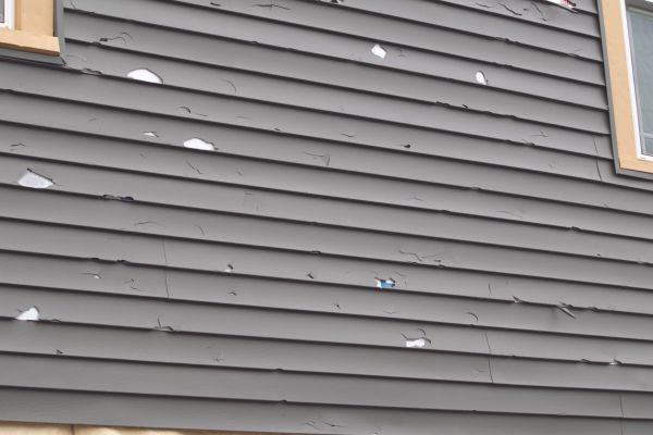 Cost of Damaged Siding Replacement in Tallahassee