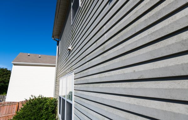Cost of Vinyl Siding Panel Replacement in Tallahassee